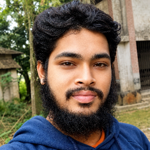 মুজাহিদুল ইসলাম স্বাধীন