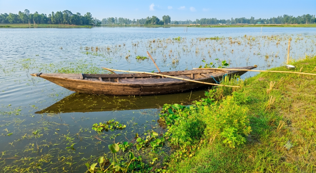 হাওদা বিল