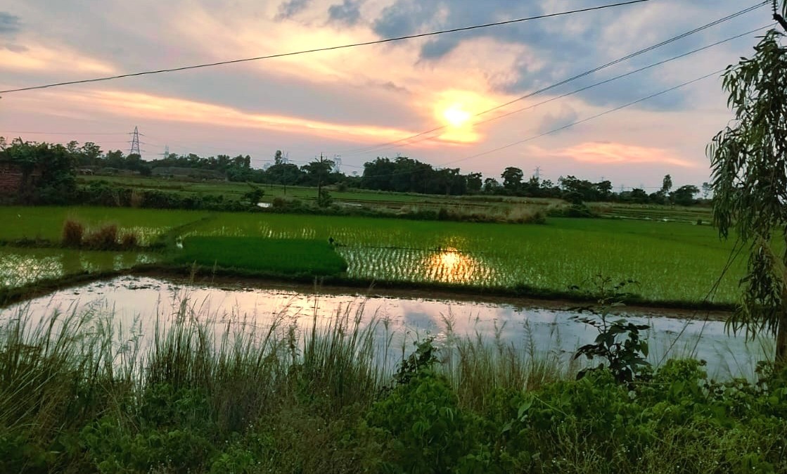 দিনের শেষে সোনার আলো, হুগলি, ভারত