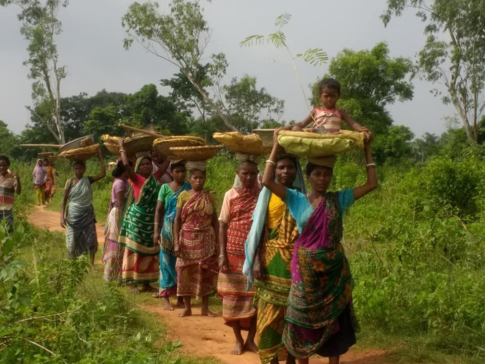 উদ্ভিদপ্রেমী আদিবাসী