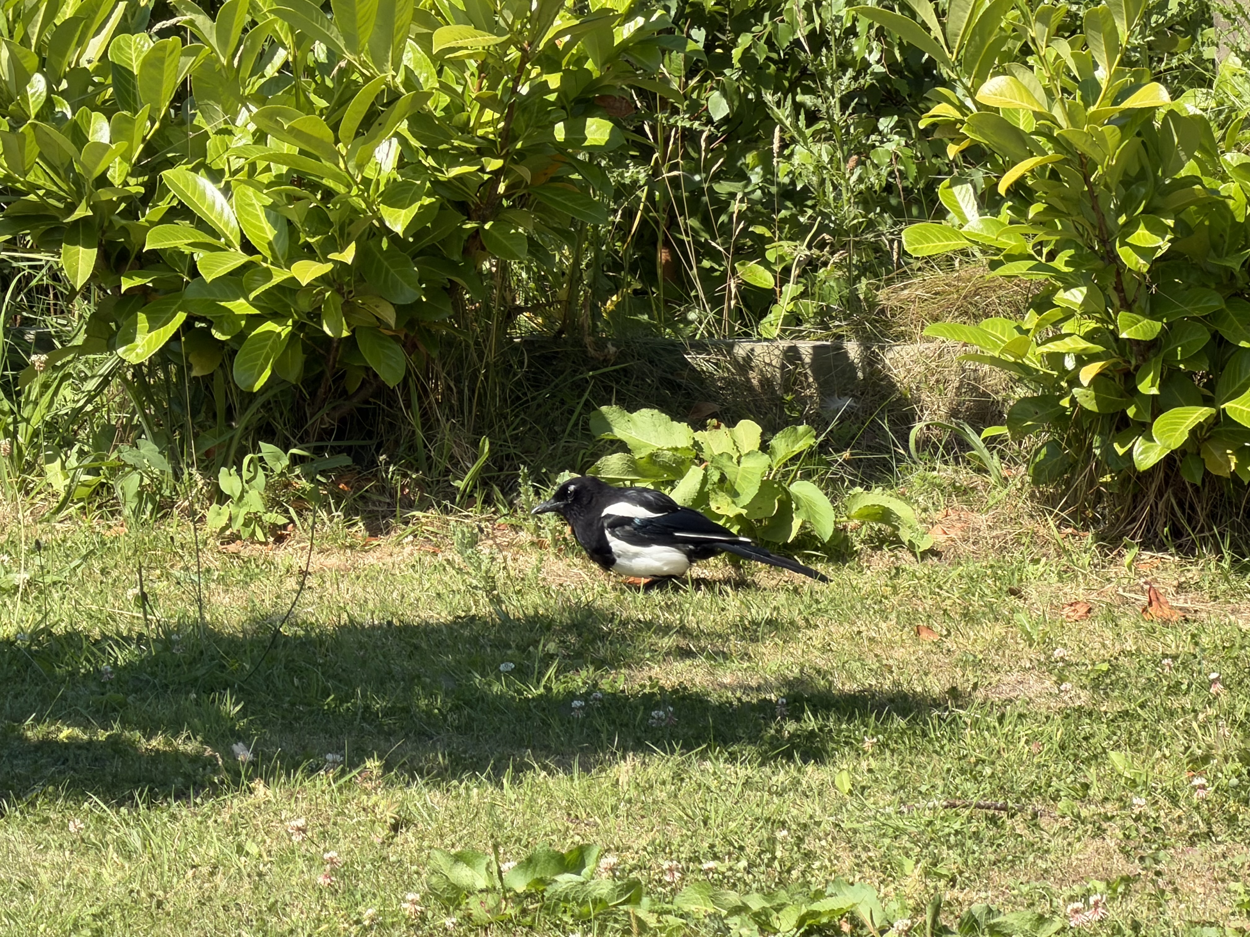 ইংল্যান্ডের ল্যাঙ্কাশায়ার কাউন্টি