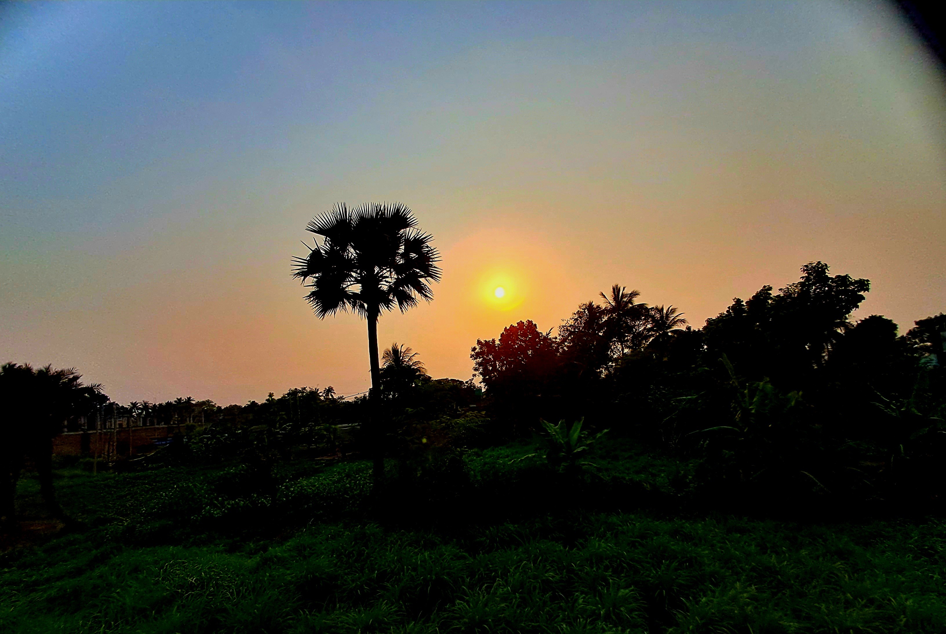 দিনের শেষ আলোয়