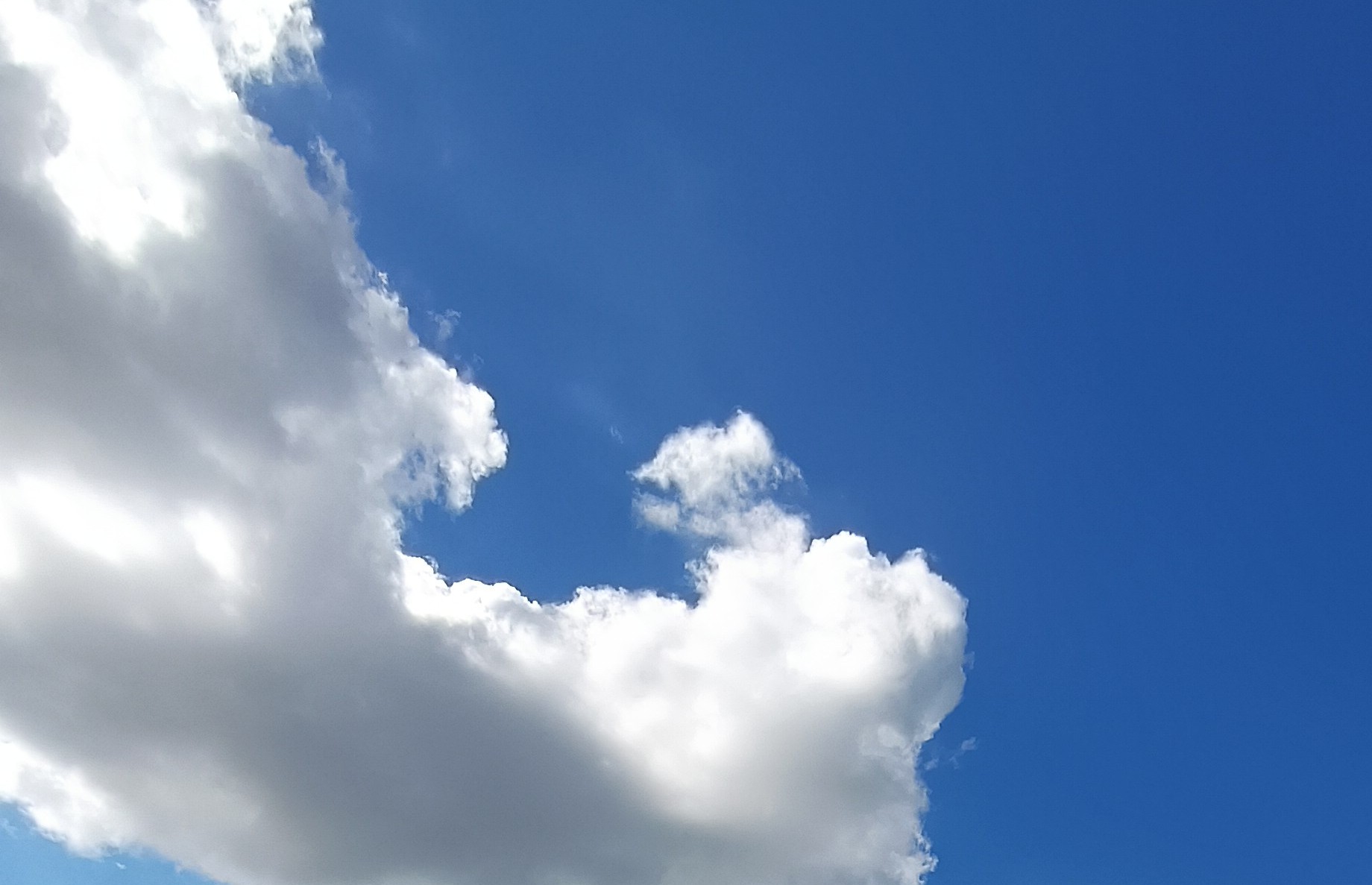 শরতের আগমনী বার্তা