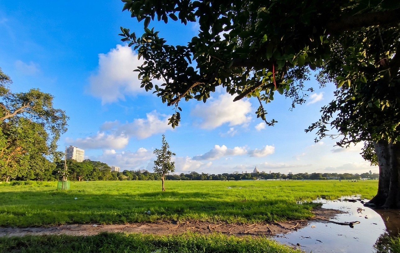 গ্রামের বিকেল, রায়গঞ্জ, ভারত